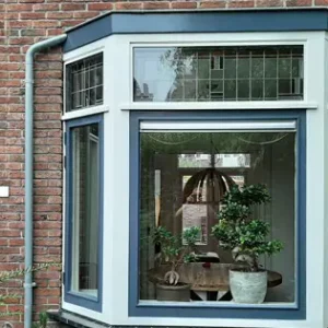 Serre vernieuwen den haag